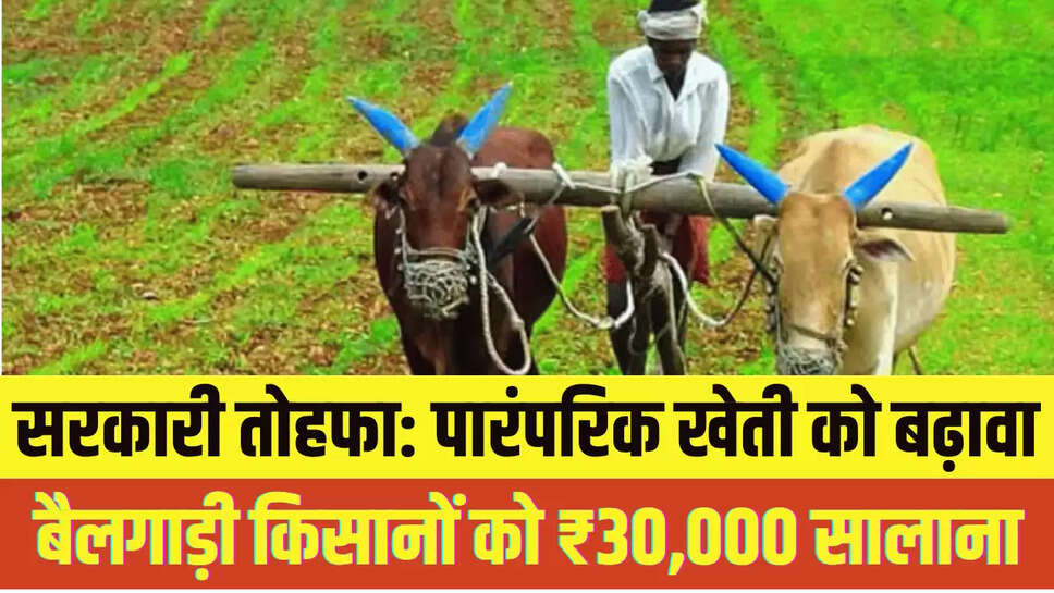 Rajasthan News