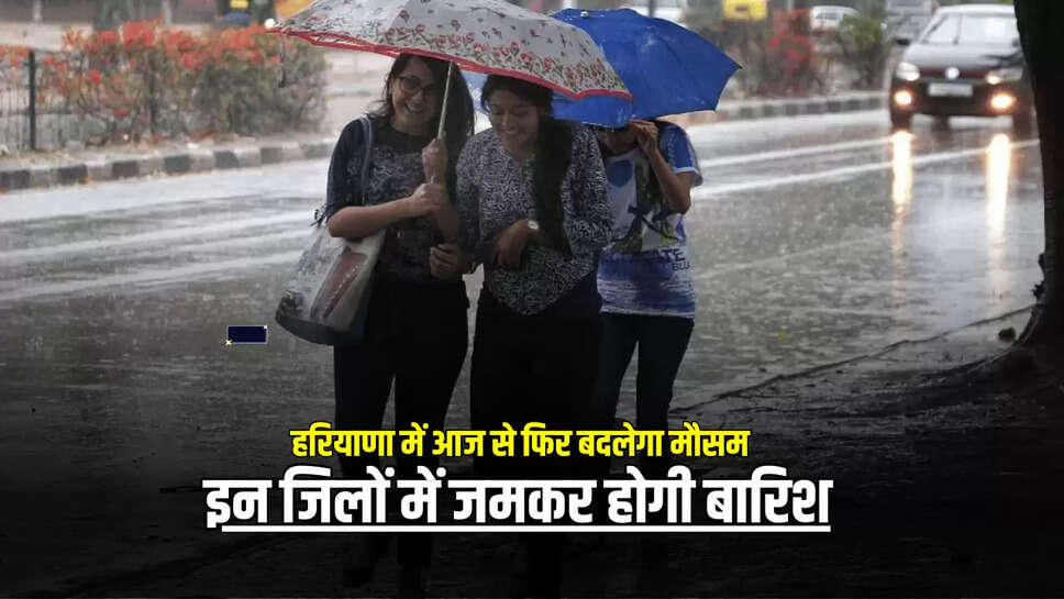 Haryana Weather Update: हरियाणा में आज से फिर बदलेगा मौसम, इन जिलों में जमकर होगी बारिश