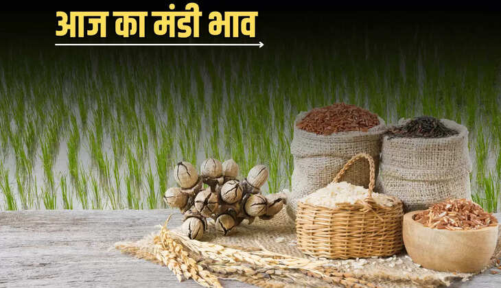 mandi bhav 1 july 2025 : महीने के पहले इन फसलों की कीमतों में जबरदस्त उछाल, जानें आज 1 जुलाई के ताजा मंडी भाव 