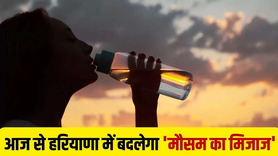 haryana weather forecast
