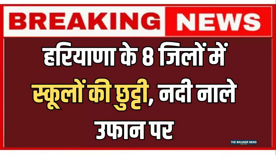 Flood in Haryana, Schools closed in 8 districts of Haryana, Markanda and Ghaggar rivers overflowed, Haryana hindi news, haryana news, Hindi news