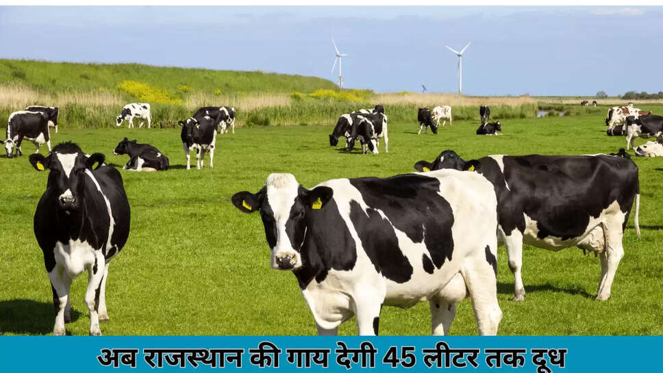 RAJASTHAN NEWS
