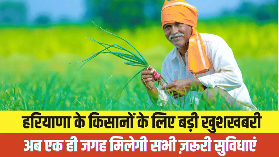 Haryana News