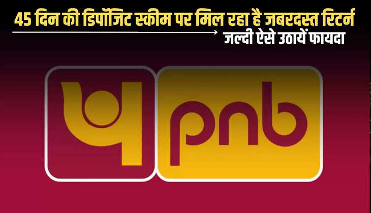 PNB FD Retrun Scheme : पंजाब नेशनल बैंक की 45 दिन की डिपॉजिट स्कीम पर मिल रहा है जबरदस्त रिटर्न, जल्दी ऐसे उठायें फायदा 