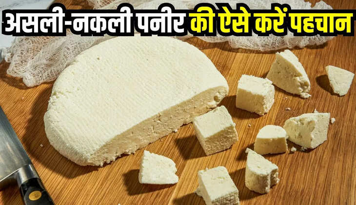 paneer purity check
