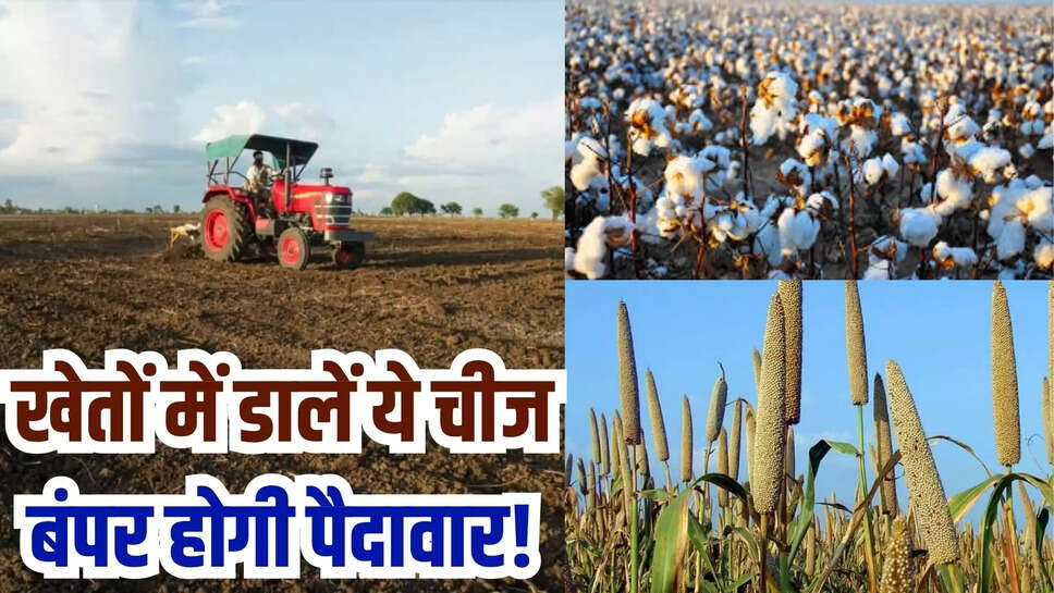 rajasthan news