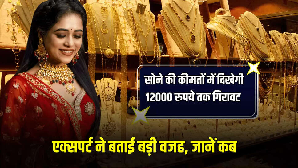 Gold 10 grams Rate : सोने की कीमतों में दिखेगी 12000 रुपये तक गिरावट, एक्सपर्ट ने बताई बड़ी वजह, जानें कब 