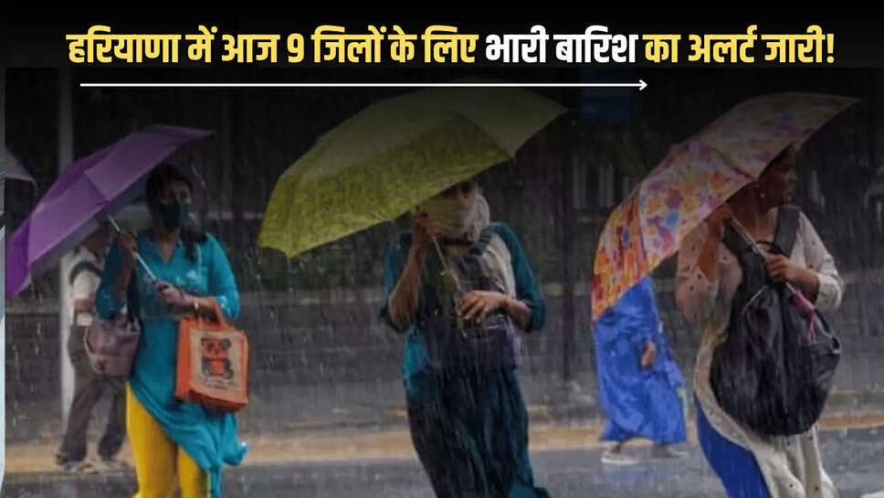 Hailstorms in haryana, Crop damage in Haryana, Western disturbance in haryana, Strong winds in haryana, Thunderstorms in haryana,