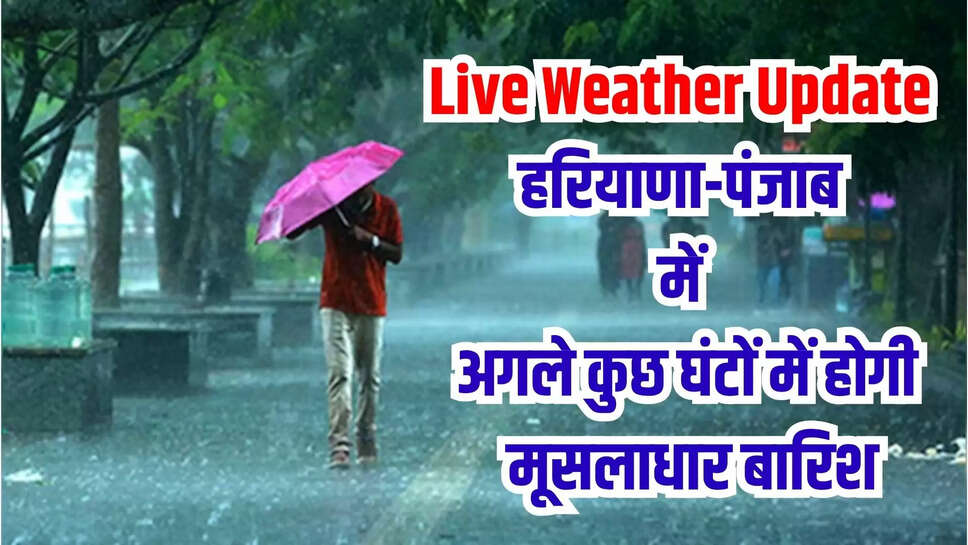 live weather update