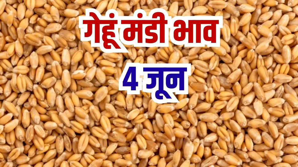 gehun mandi bhav today 4 june