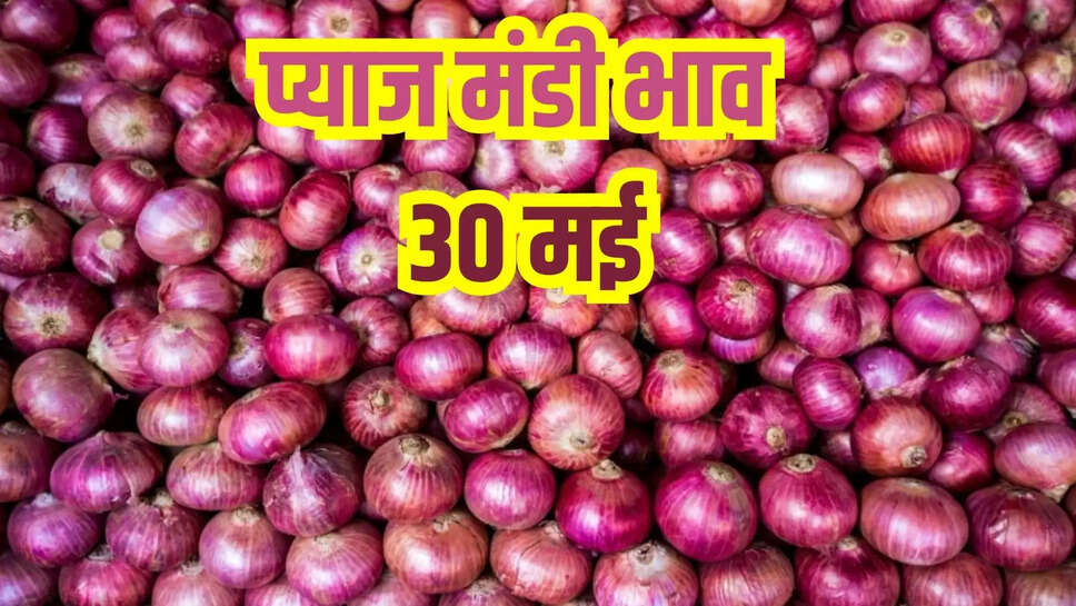 Pyaj Mandi Bhat Today 30 May