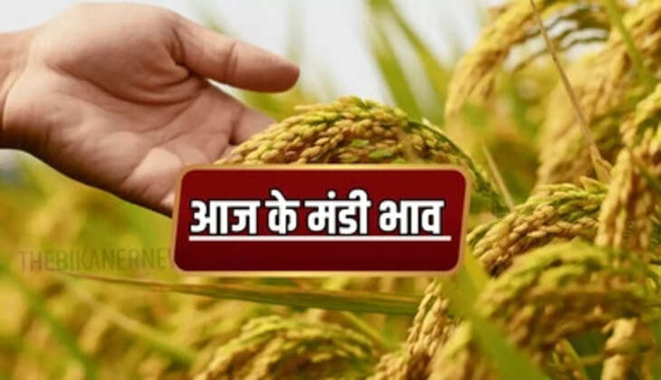 राजस्थान के कोटा की ​​​​​​​लहसुन के लगभग 16000 कट्टे की आवक रही। लहसुन के भाव 2000 से 9500 रुपए प्रति क्विंटल रहे। 