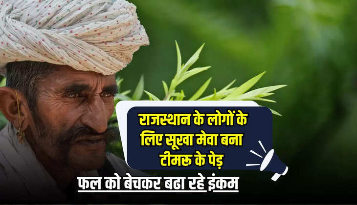 फल को बेचकर बढा रहे इंकम