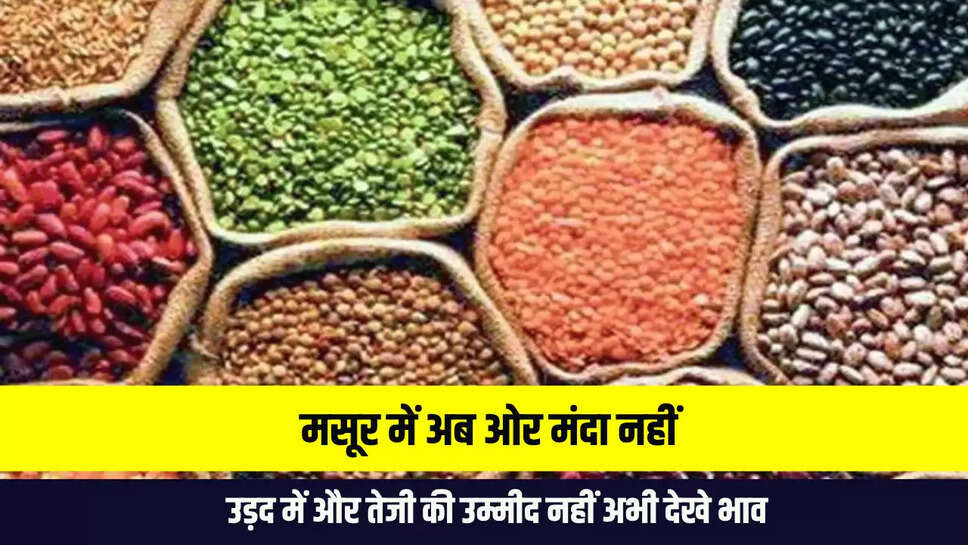 Mandi Bhav