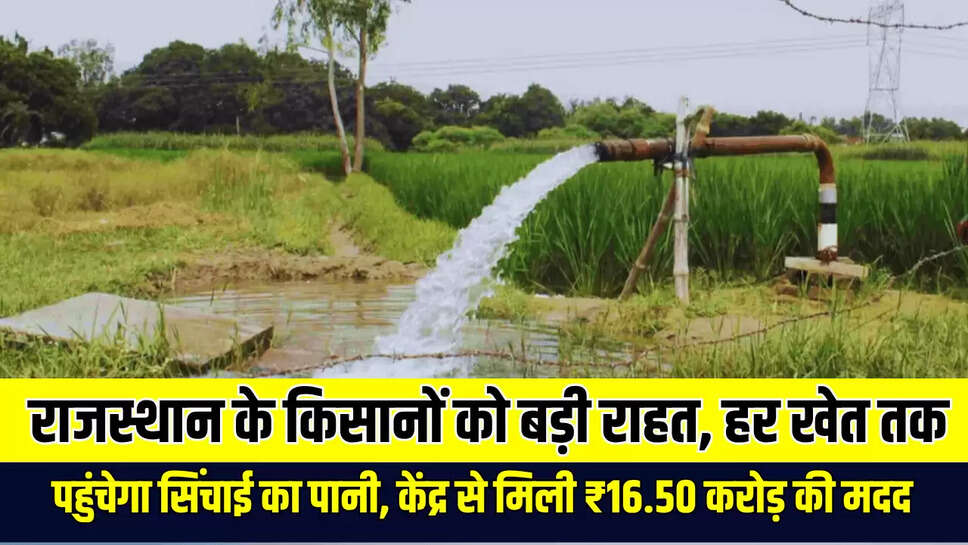 Rajasthan Farmers News