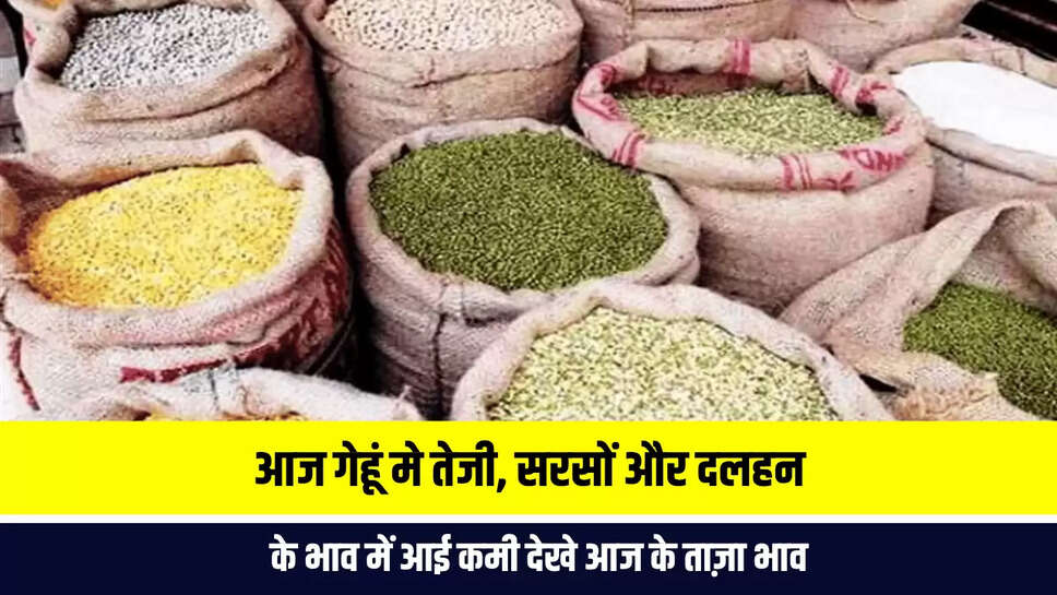 Mandi Bhav