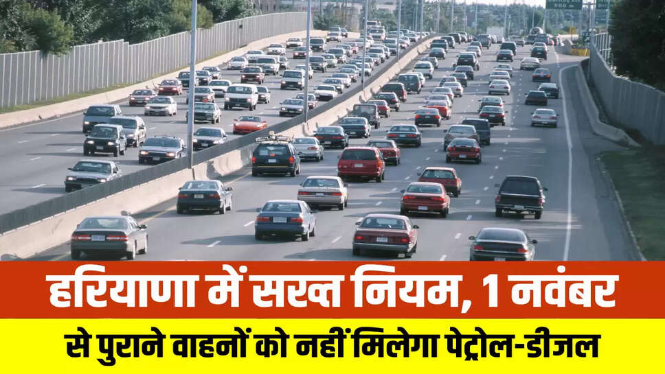 Haryana News
