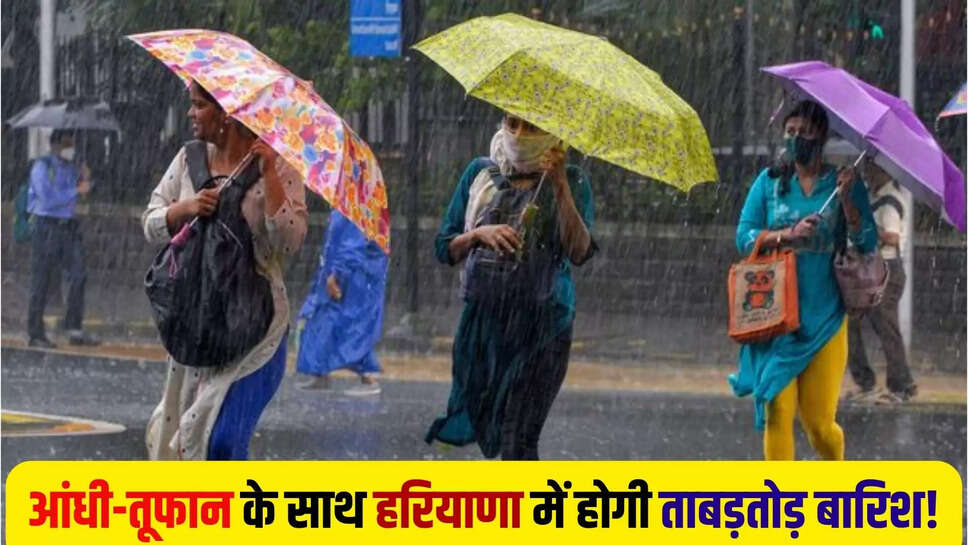 haryana rain alert