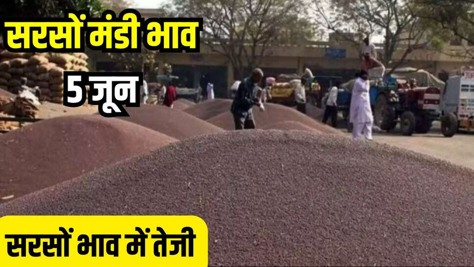 sarson mandi bhav today 5 june
