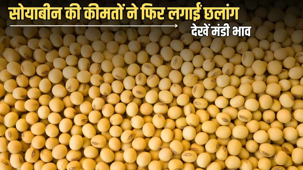  04 july को सोयाबीन की कीमतों ने फिर लगाईं छलांग, जानें आज बाकी फसलों के Mandi Bhav