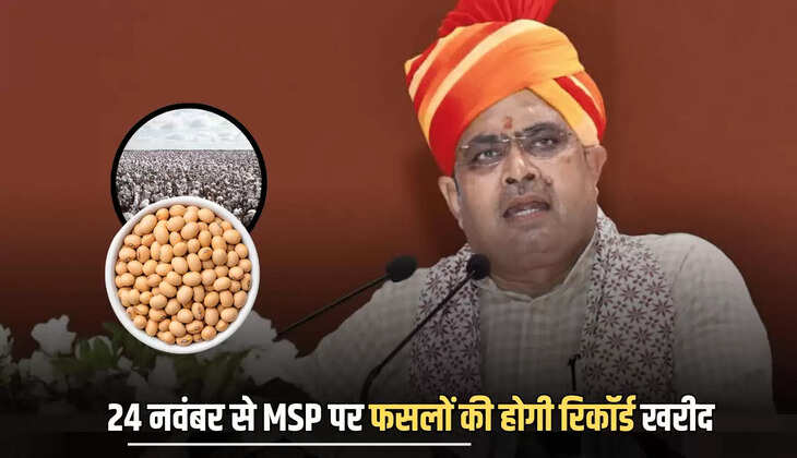 24 नवंबर से राजस्थान में MSP पर इन फसलों की होगी रिकॉर्ड खरीद, 3 लाख से ज्यादा किसानों ने कराया पंजीकरण
