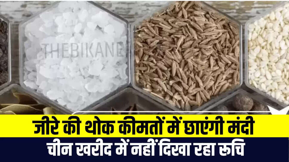 Mandi Taza Bhav