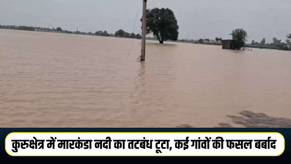 Haryana News
