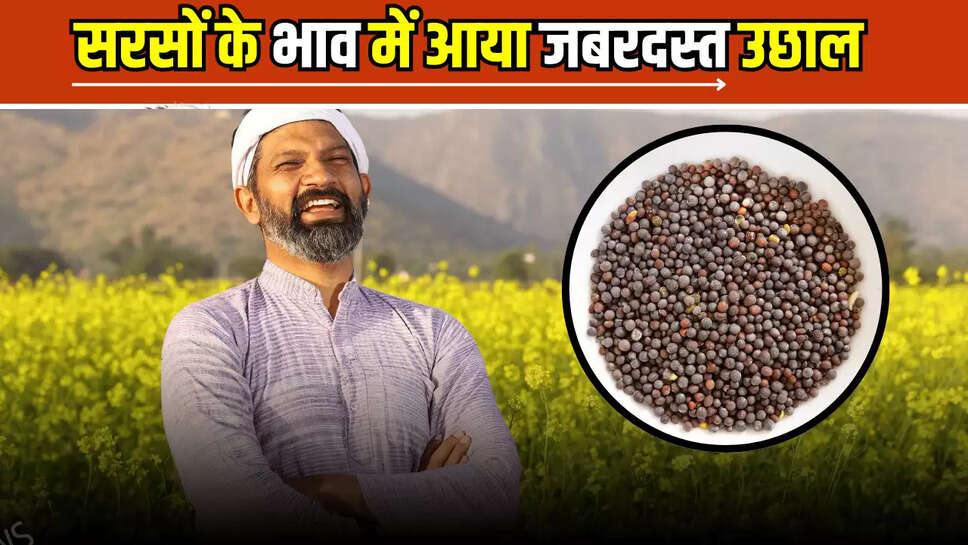 Sarson Mandi Rate 21 june 2025 : किसानों के लिए बड़ी खुशखबरी,2 महीने बाद सरसों के भाव में आया जबरदस्त उछाल, जाने आज के मंडी भाव 