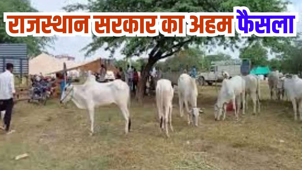 rajasthan news