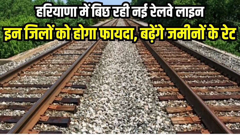 haryana news