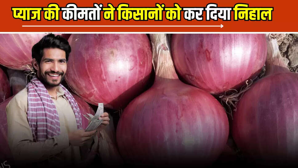 Onion Price Today : प्याज की कीमतों ने किसानों को कर दिया निहाल, देखें राजस्थान से लेकर देशभर की मंडियों में आज के ताजा रेट 