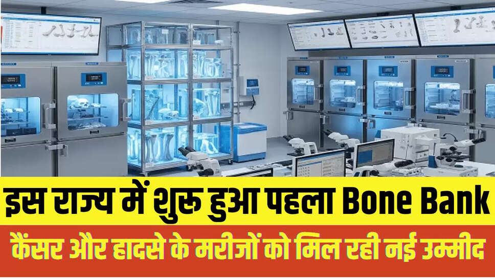 Bone Bank