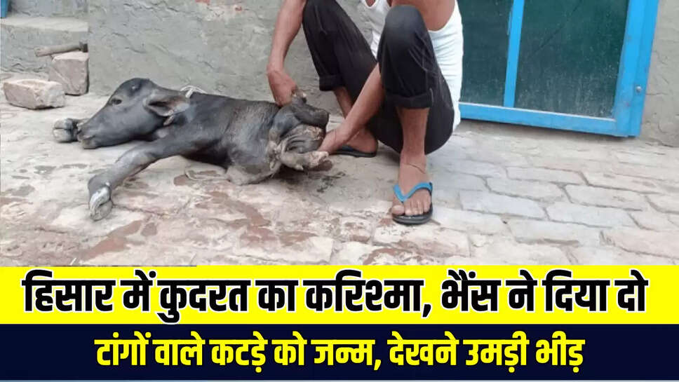 Hisar News
