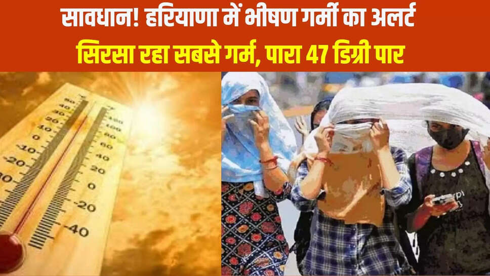 haryana weather update